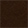 Pasek Lee CASUAL BELT 112372689 Dark Brown