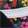 Buty Vans OLD SKOOL VN0005UFBA2 Floral Black/White